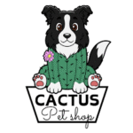 Domov cactus